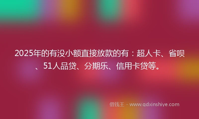 2025年的有没小额直接放款的有：超人卡、省呗、51人品贷、分期乐、信用卡贷等。