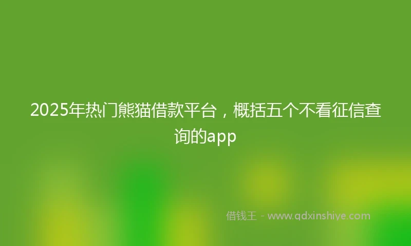 2025年热门熊猫借款平台，概括五个不看征信查询的app