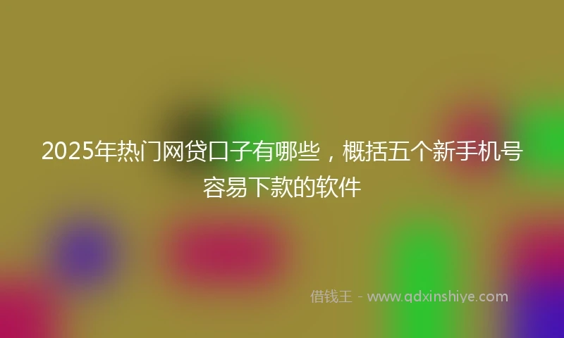 2025年热门网贷口子有哪些，概括五个新手机号容易下款的软件