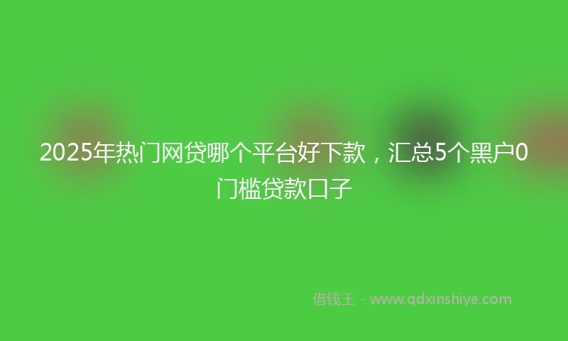 2025年热门网贷哪个平台好下款，汇总5个黑户0门槛贷款口子