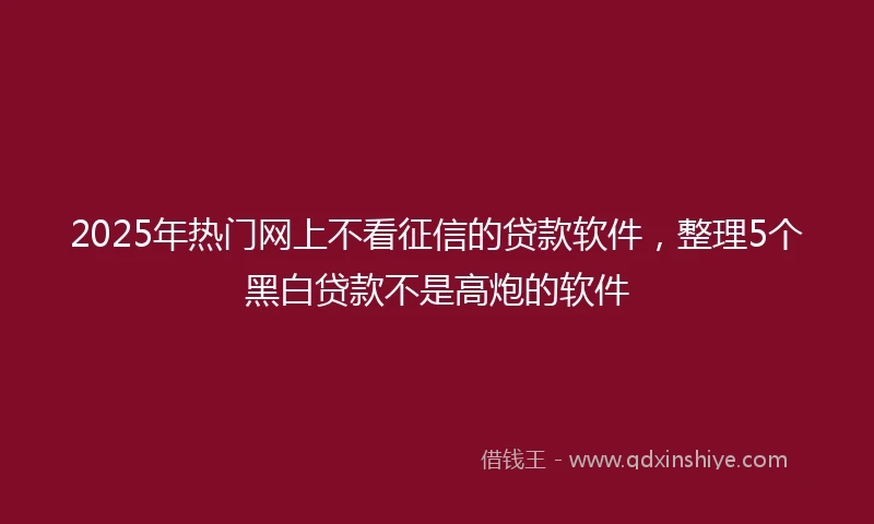 2025年热门网上不看征信的贷款软件，整理5个黑白贷款不是高炮的软件