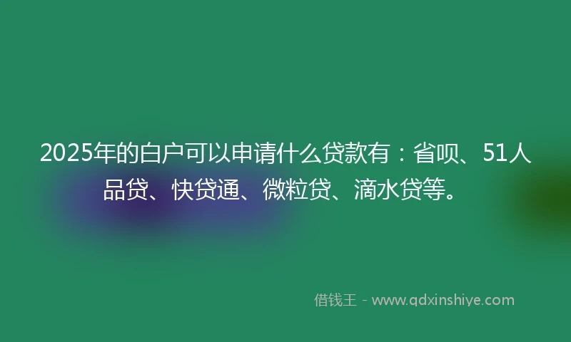 2025年的白户可以申请什么贷款有：省呗、51人品贷、快贷通、微粒贷、滴水贷等。