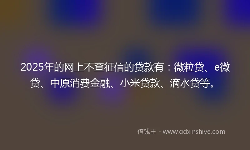 2025年的网上不查征信的贷款有：微粒贷、e微贷、中原消费金融、小米贷款、滴水贷等。