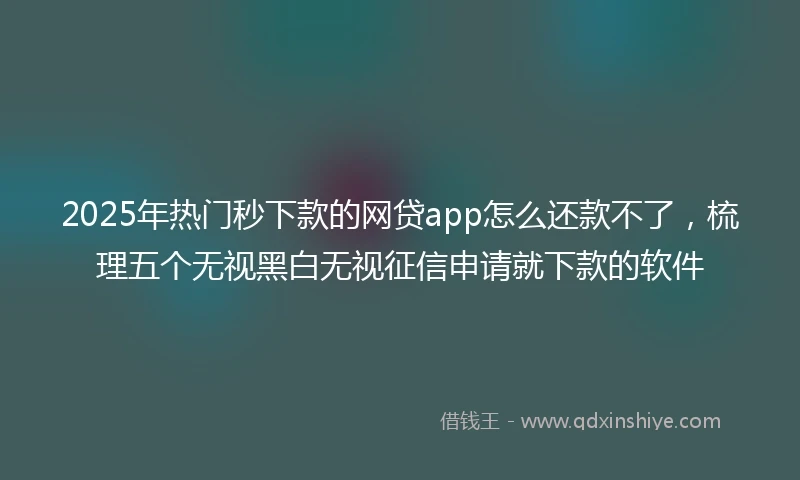 2025年热门秒下款的网贷app怎么还款不了，梳理五个无视黑白无视征信申请就下款的软件