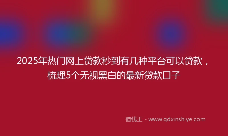 2025年热门网上贷款秒到有几种平台可以贷款，梳理5个无视黑白的最新贷款口子