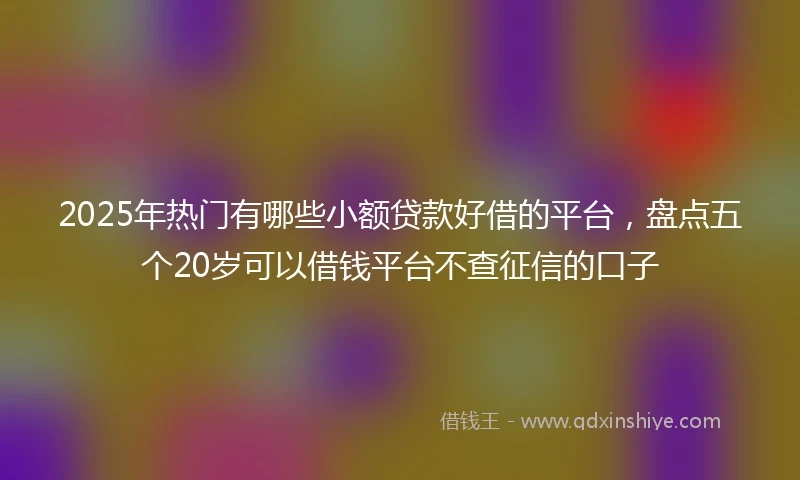 2025年热门有哪些小额贷款好借的平台，盘点五个20岁可以借钱平台不查征信的口子