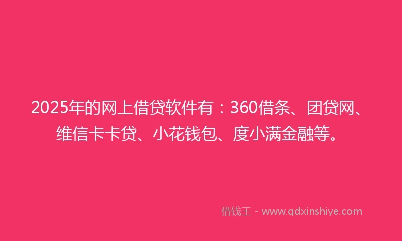 2025年的网上借贷软件有：360借条、团贷网、维信卡卡贷、小花钱包、度小满金融等。