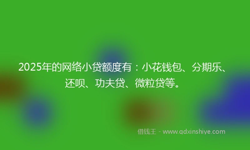 2025年的网络小贷额度有:小花钱包、分期乐、还呗、功夫贷、微粒贷等。