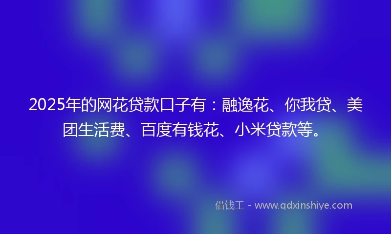 2025年的网花贷款口子有：融逸花、你我贷、美团生活费、百度有钱花、小米贷款等。