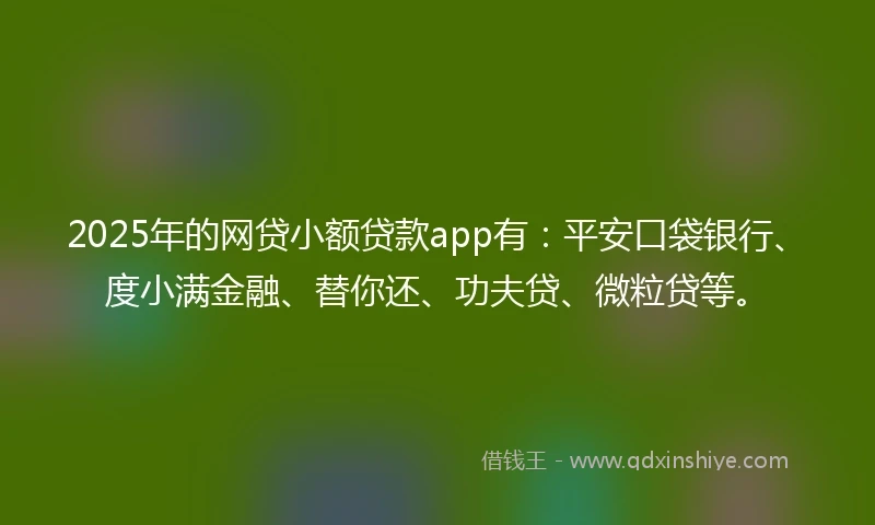 2025年的网贷小额贷款app有：平安口袋银行、度小满金融、替你还、功夫贷、微粒贷等。