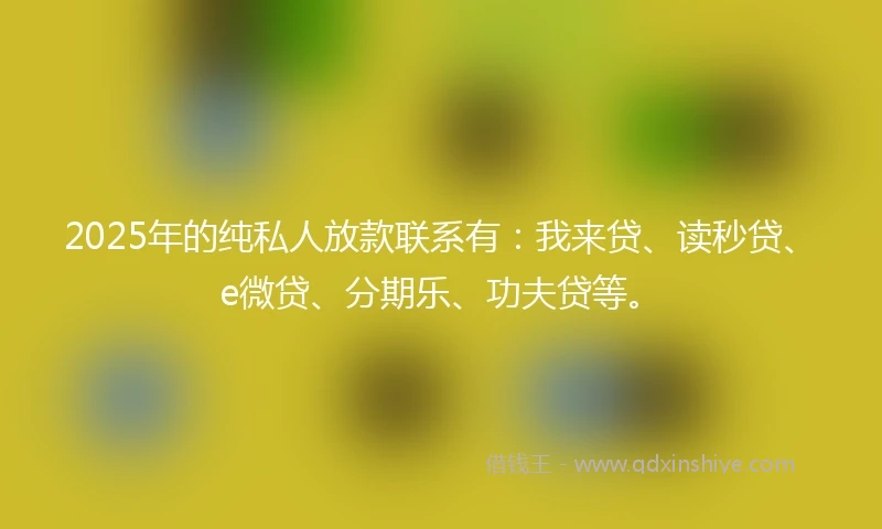 2025年的纯私人放款联系有：我来贷、读秒贷、e微贷、分期乐、功夫贷等。