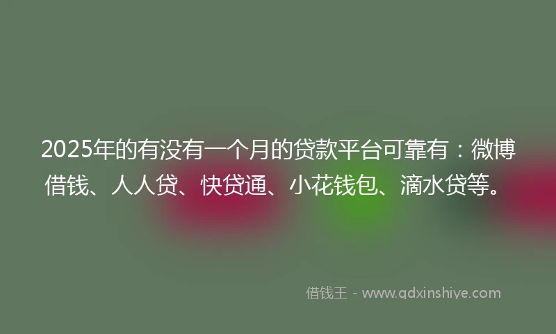 2025年的有没有一个月的贷款平台可靠有：微博借钱、人人贷、快贷通、小花钱包、滴水贷等。
