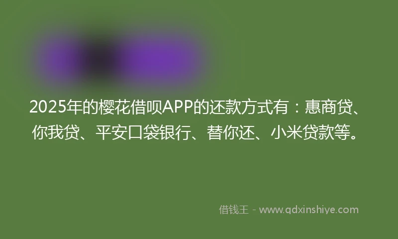 2025年的樱花借呗APP的还款方式有：惠商贷、你我贷、平安口袋银行、替你还、小米贷款等。