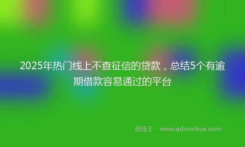 2025年热门线上不查征信的贷款，总结5个有逾期借款容易通过的平台