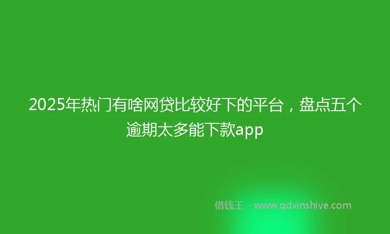 2025年热门有啥网贷比较好下的平台，盘点五个逾期太多能下款app