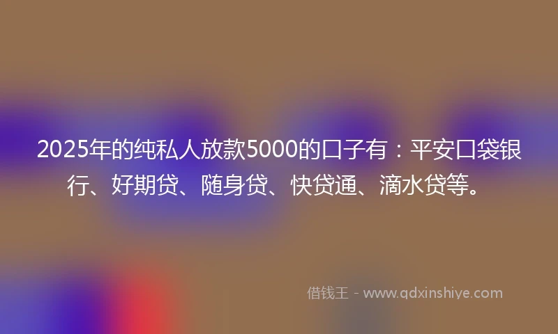 2025年的纯私人放款5000的口子有：平安口袋银行、好期贷、随身贷、快贷通、滴水贷等。