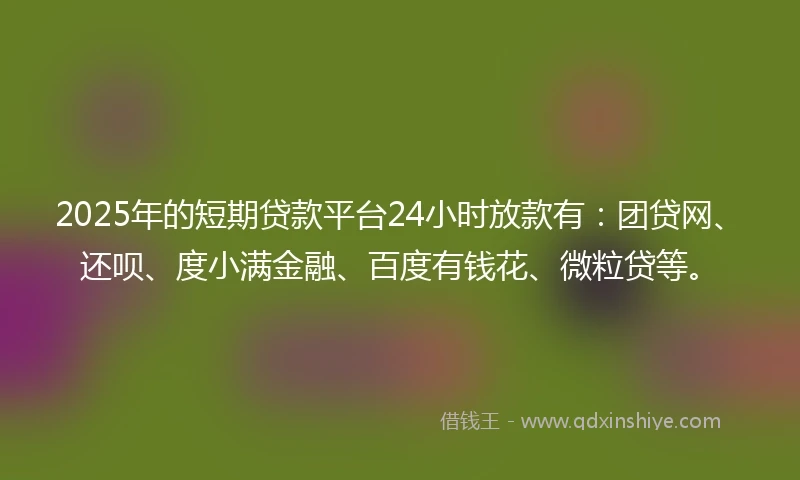 2025年的短期贷款平台24小时放款有：团贷网、还呗、度小满金融、百度有钱花、微粒贷等。