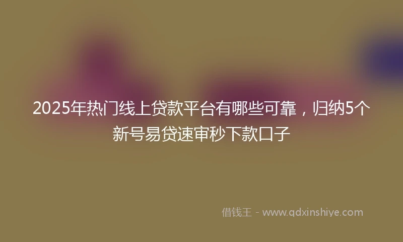 2025年热门线上贷款平台有哪些可靠，归纳5个新号易贷速审秒下款口子