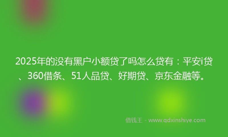 2025年的没有黑户小额贷了吗怎么贷有：平安i贷、360借条、51人品贷、好期贷、京东金融等。