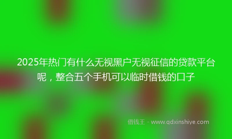 2025年热门有什么无视黑户无视征信的贷款平台呢，整合五个手机可以临时借钱的口子
