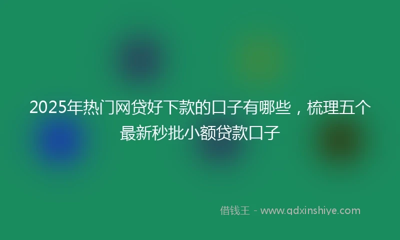 2025年热门网贷好下款的口子有哪些，梳理五个最新秒批小额贷款口子
