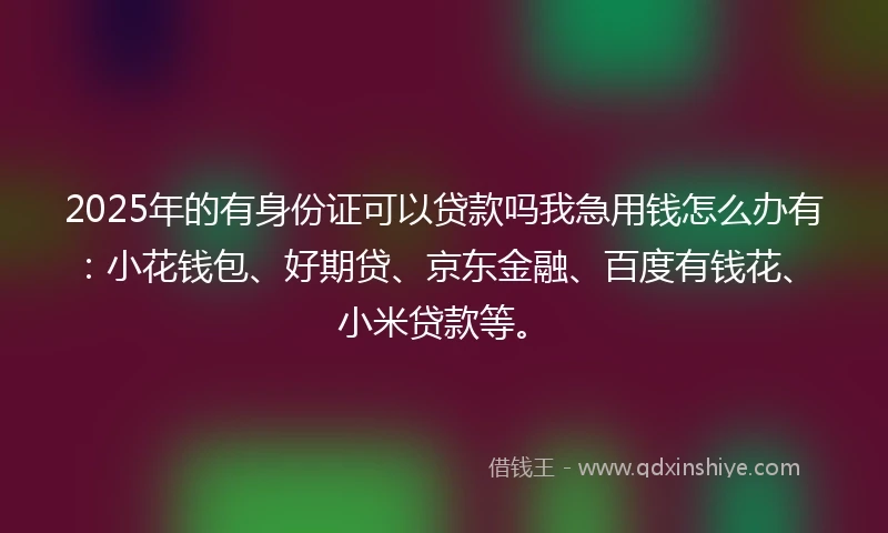 2025年的有身份证可以贷款吗我急用钱怎么办有：小花钱包、好期贷、京东金融、百度有钱花、小米贷款等。