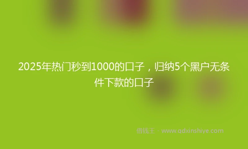 2025年热门秒到1000的口子，归纳5个黑户无条件下款的口子