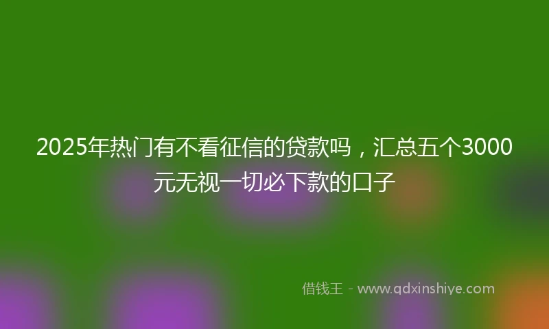 2025年热门有不看征信的贷款吗，汇总五个3000元无视一切必下款的口子