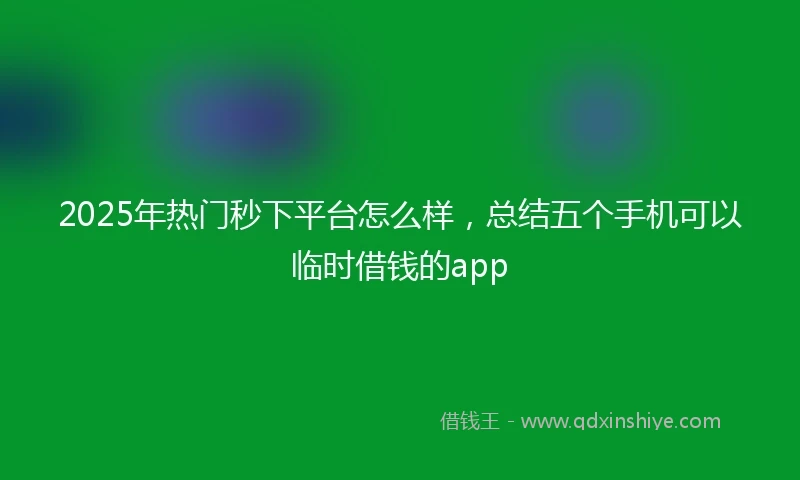 2025年热门秒下平台怎么样，总结五个手机可以临时借钱的app