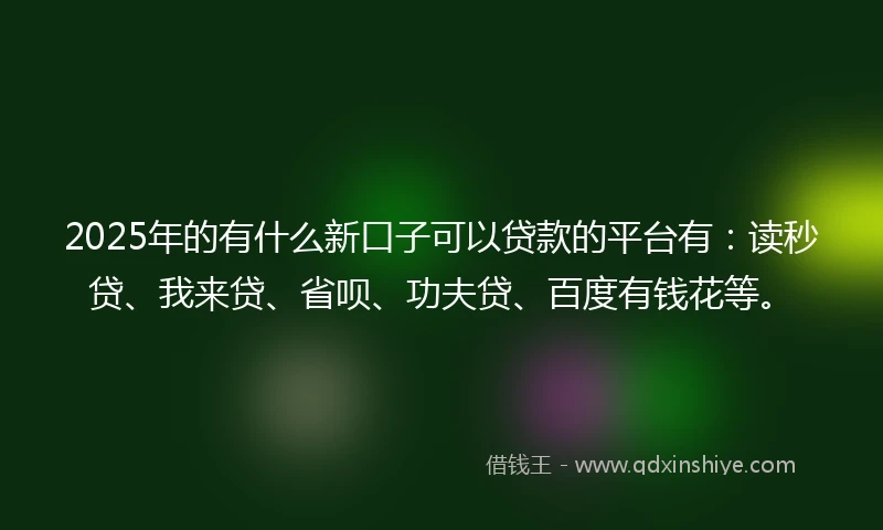 2025年的有什么新口子可以贷款的平台有：读秒贷、我来贷、省呗、功夫贷、百度有钱花等。
