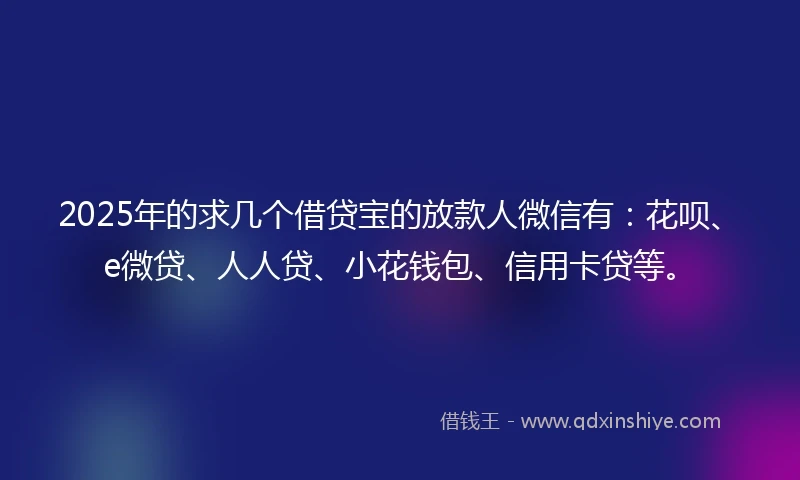 2025年的求几个借贷宝的放款人微信有：花呗、e微贷、人人贷、小花钱包、信用卡贷等。