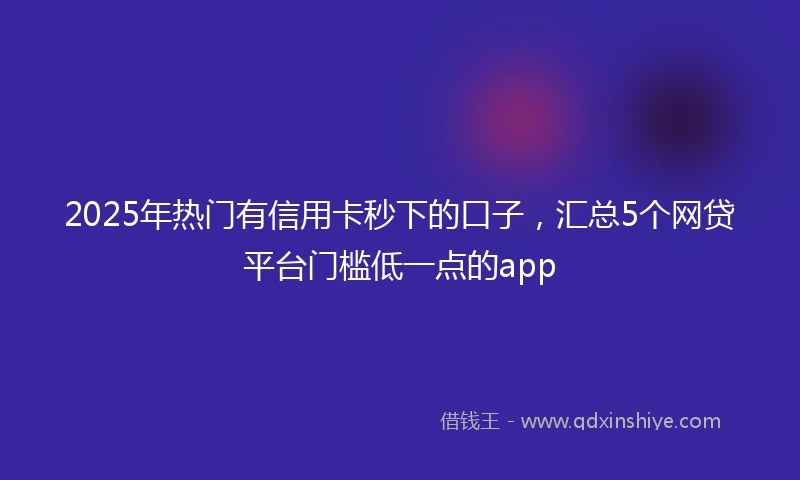 2025年热门有信用卡秒下的口子，汇总5个网贷平台门槛低一点的app