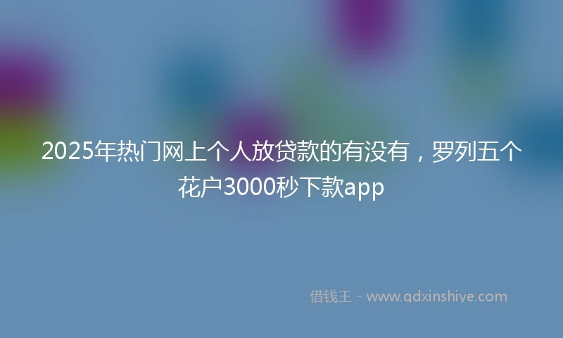 2025年热门网上个人放贷款的有没有，罗列五个花户3000秒下款app