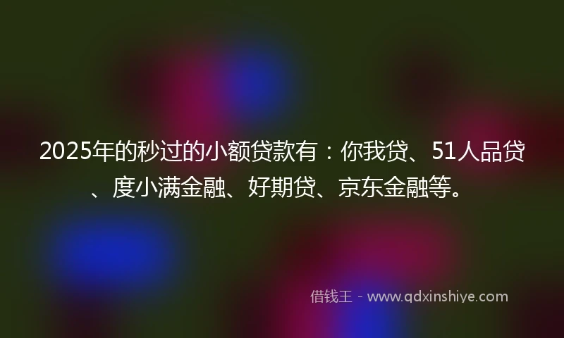2025年的秒过的小额贷款有：你我贷、51人品贷、度小满金融、好期贷、京东金融等。
