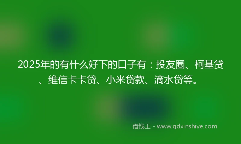 2025年的有什么好下的口子有：投友圈、柯基贷、维信卡卡贷、小米贷款、滴水贷等。