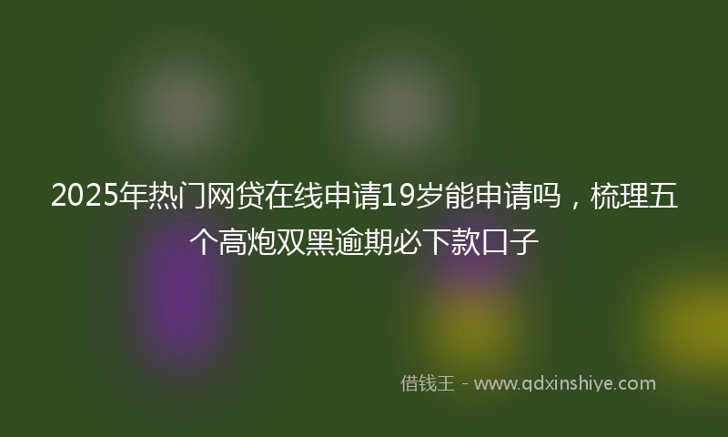 2025年热门网贷在线申请19岁能申请吗，梳理五个高炮双黑逾期必下款口子