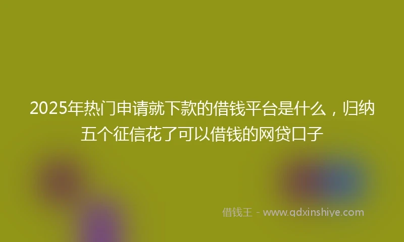 2025年热门申请就下款的借钱平台是什么，归纳五个征信花了可以借钱的网贷口子