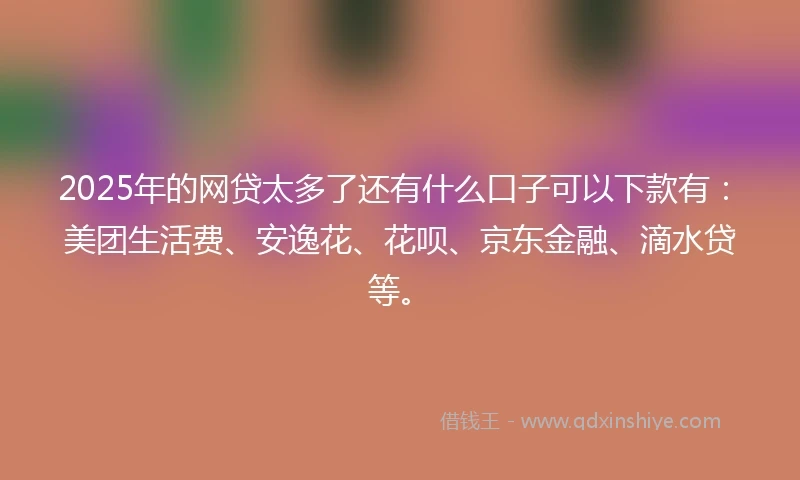 2025年的网贷太多了还有什么口子可以下款有：美团生活费、安逸花、花呗、京东金融、滴水贷等。