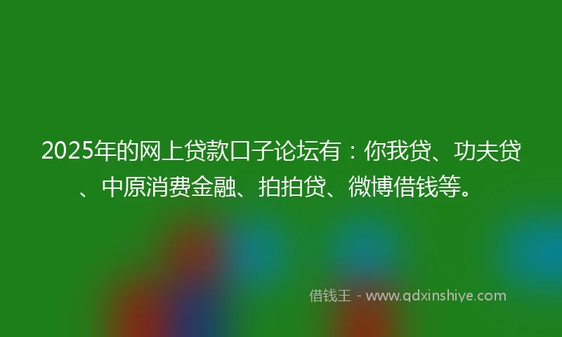 2025年的网上贷款口子论坛有：你我贷、功夫贷、中原消费金融、拍拍贷、微博借钱等。