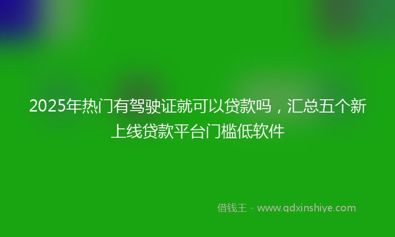 2025年热门有驾驶证就可以贷款吗，汇总五个新上线贷款平台门槛低软件