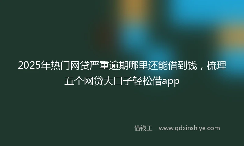 2025年热门网贷严重逾期哪里还能借到钱，梳理五个网贷大口子轻松借app
