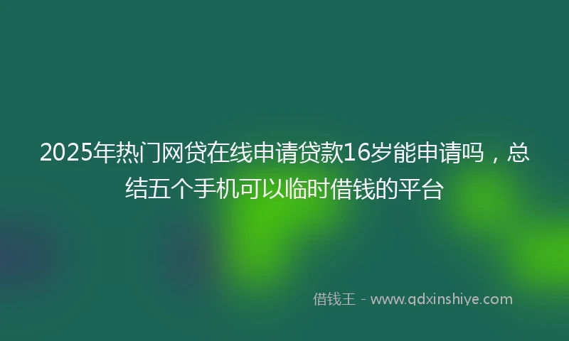 2025年热门网贷在线申请贷款16岁能申请吗，总结五个手机可以临时借钱的平台