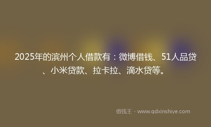 2025年的滨州个人借款有：微博借钱、51人品贷、小米贷款、拉卡拉、滴水贷等。