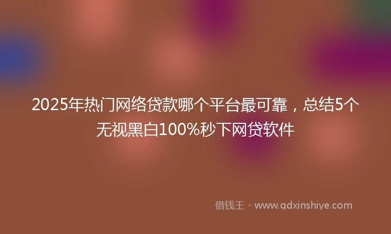 2025年热门网络贷款哪个平台最可靠，总结5个无视黑白100%秒下网贷软件