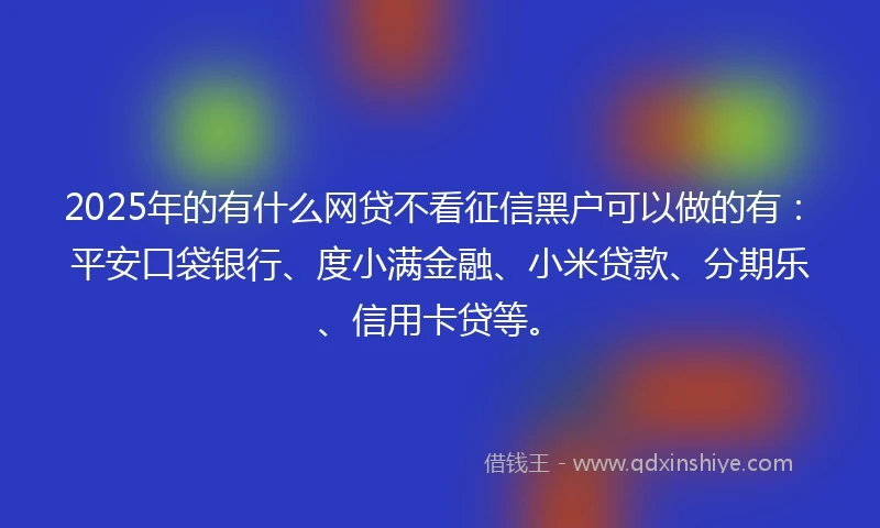 2025年的有什么网贷不看征信黑户可以做的有：平安口袋银行、度小满金融、小米贷款、分期乐、信用卡贷等。