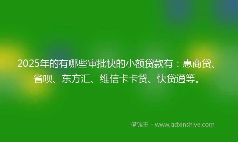 2025年的有哪些审批快的小额贷款有：惠商贷、省呗、东方汇、维信卡卡贷、快贷通等。