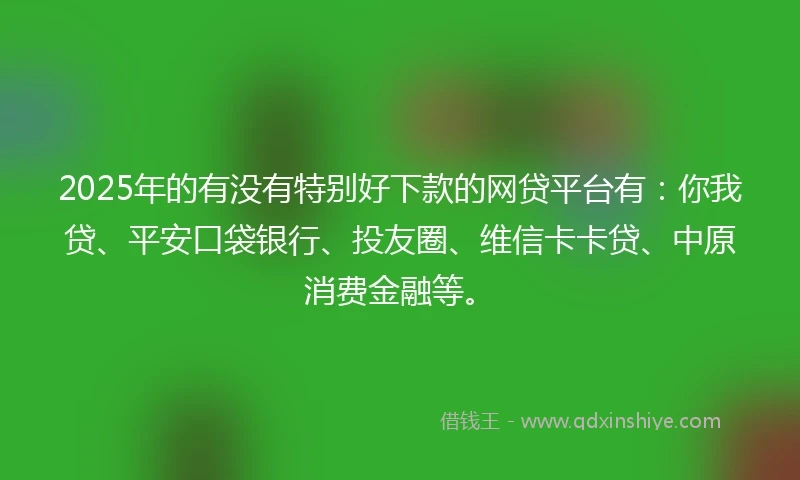 2025年的有没有特别好下款的网贷平台有：你我贷、平安口袋银行、投友圈、维信卡卡贷、中原消费金融等。