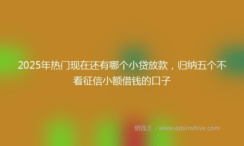 2025年热门现在还有哪个小贷放款，归纳五个不看征信小额借钱的口子