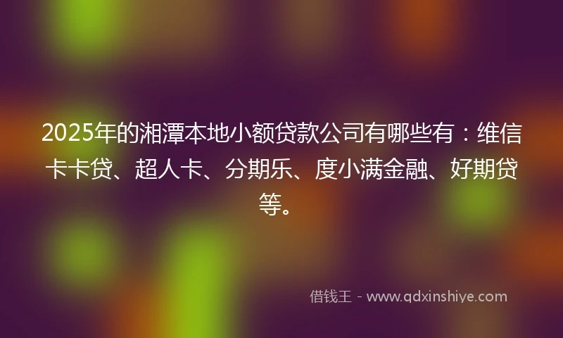 2025年的湘潭本地小额贷款公司有哪些有：维信卡卡贷、超人卡、分期乐、度小满金融、好期贷等。