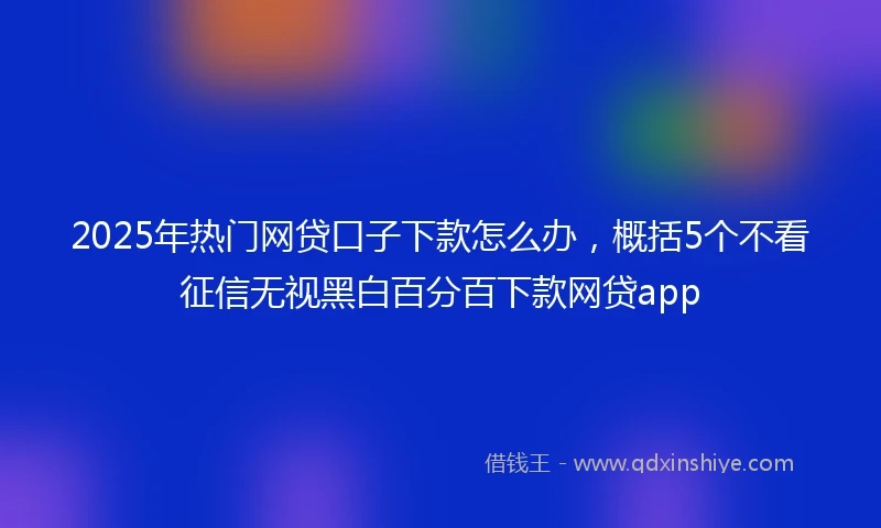 2025年热门网贷口子下款怎么办，概括5个不看征信无视黑白百分百下款网贷app